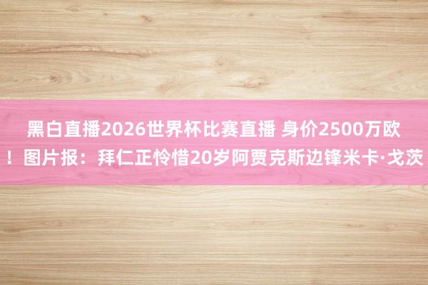黑白直播2026世界杯比赛直播 身价2500万欧！图片报：拜仁正怜惜20岁阿贾克斯边锋米卡·戈茨