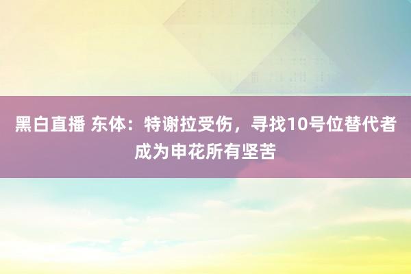黑白直播 东体：特谢拉受伤，寻找10号位替代者成为申花所有坚苦
