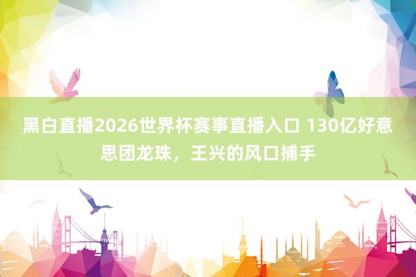 黑白直播2026世界杯赛事直播入口 130亿好意思团龙珠，王兴的风口捕手