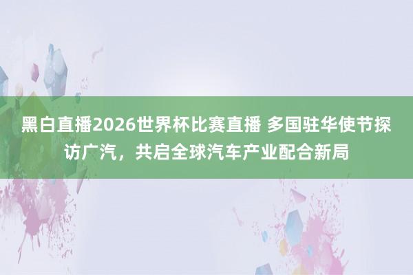 黑白直播2026世界杯比赛直播 多国驻华使节探访广汽，共启全