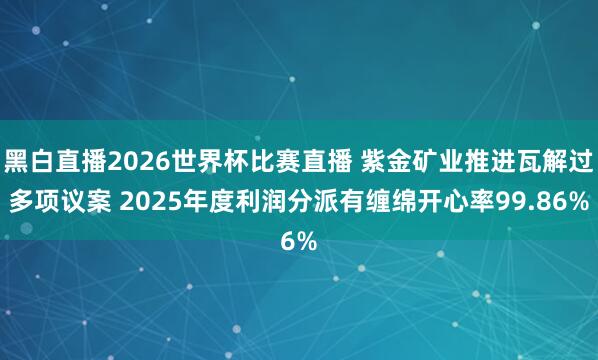 黑白直播2026世界杯比赛直播 紫金矿业推进瓦解过多项议案 2025年度利润分派有缠绵开心率99.86%