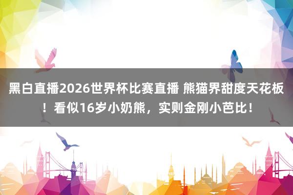 黑白直播2026世界杯比赛直播 熊猫界甜度天花板！看似16岁小奶熊，实则金刚小芭比！