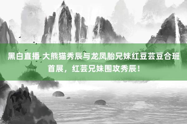 黑白直播 大熊猫秀辰与龙凤胎兄妹红豆芸豆合班首展,红芸兄妹围攻秀辰!