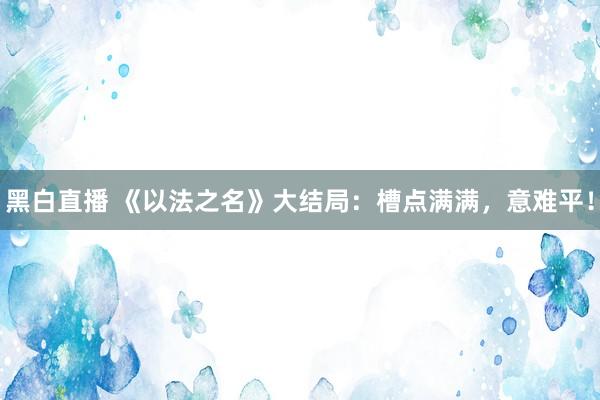 黑白直播 《以法之名》大结局：槽点满满，意难平！