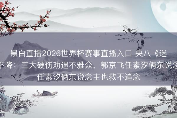 黑白直播2026世界杯赛事直播入口 央八《迷墙》收视断崖下降：三大硬伤劝退不雅众，郭京飞任素汐俩东说念主也救不追念