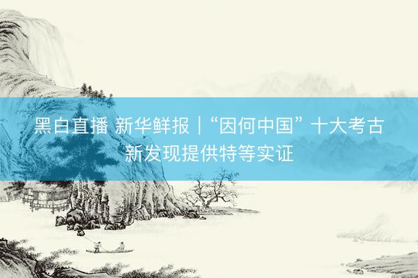 黑白直播 新华鲜报｜“因何中国” 十大考古新发现提供特等实证
