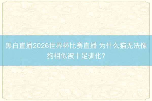 黑白直播2026世界杯比赛直播 为什么猫无法像狗相似被十足驯化?