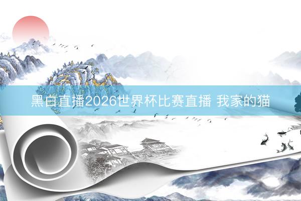 黑白直播2026世界杯比赛直播 我家的猫