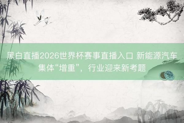 黑白直播2026世界杯赛事直播入口 新能源汽车集体“增重”，行业迎来新考题