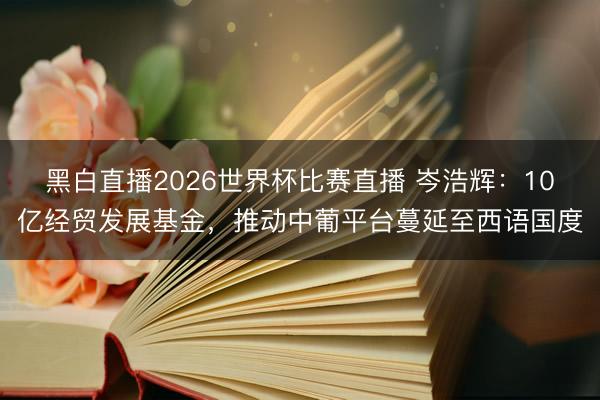 黑白直播2026世界杯比赛直播 岑浩辉：10亿经贸发展基金，推动中葡平台蔓延至西语国度