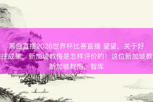 黑白直播2026世界杯比赛直播 望望，关于好意思伊交往成果，新加坡教悔是怎样评价的！这位新加坡教悔，智库