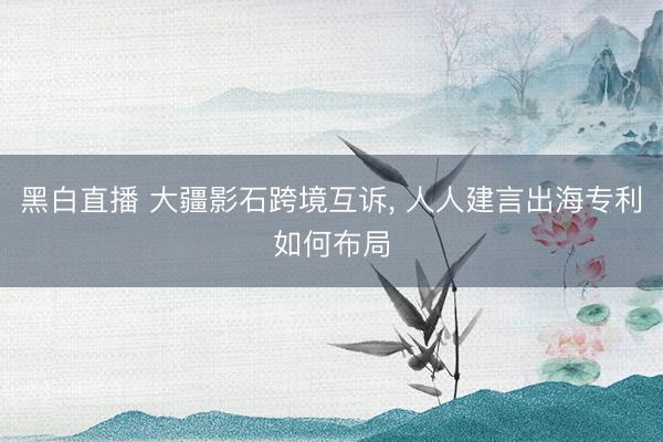 黑白直播 大疆影石跨境互诉， 人人建言出海专利如何布局
